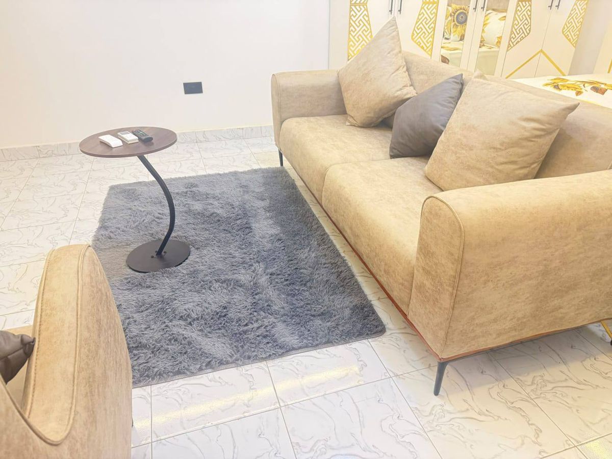 Sofa and rug in the living area